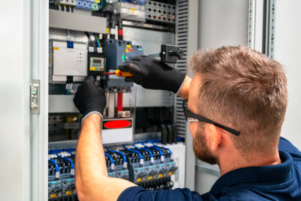 Best Electric Panel Repair  in Bridgman, MI