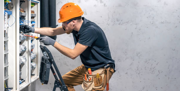 Best Electrical System Inspection  in Bridgman, MI